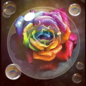 Meet your Posher, Patsy